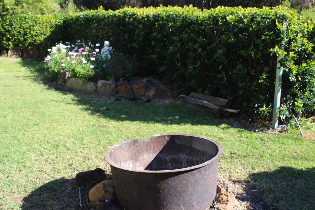 Rosebank Homestead And Farmstay 달비 외부 사진