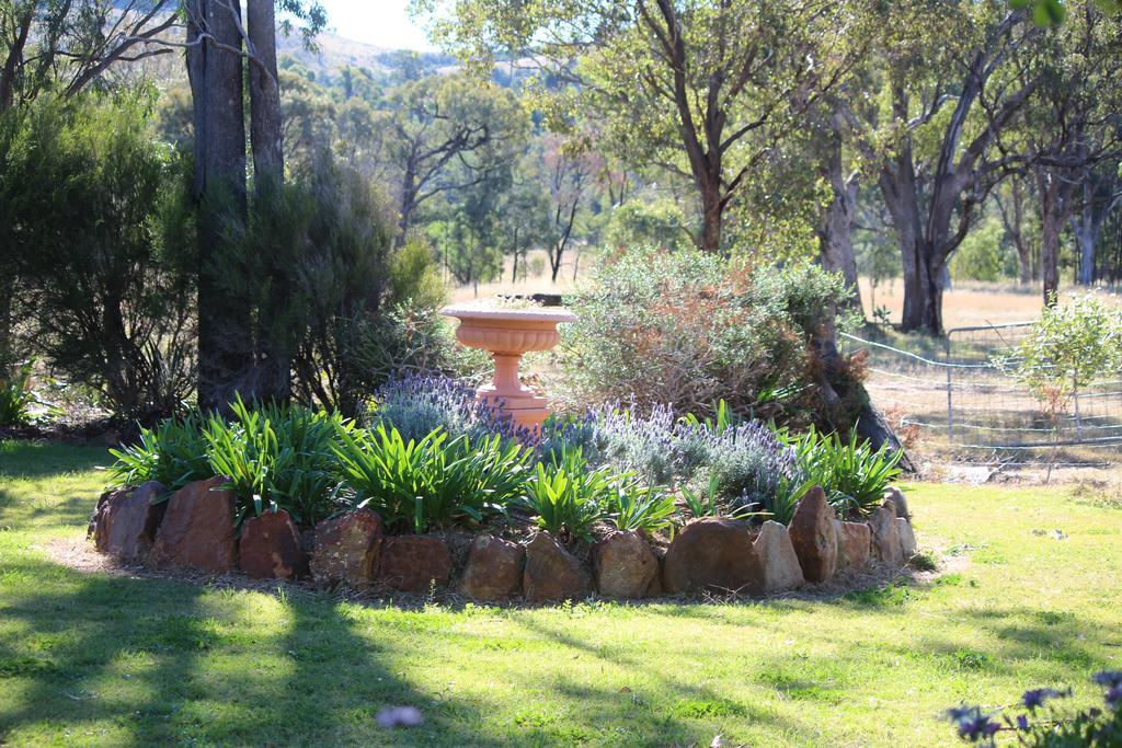 Rosebank Homestead And Farmstay 달비 외부 사진