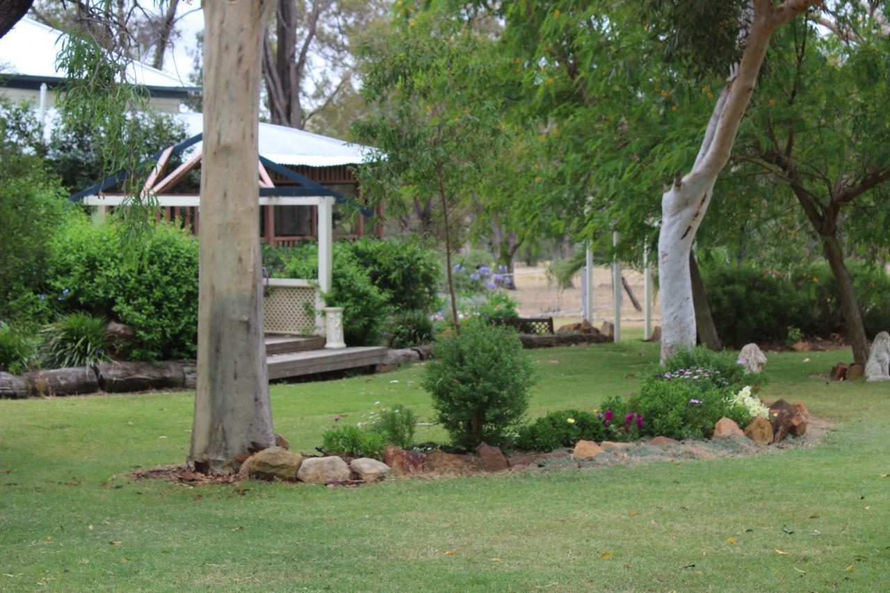 Rosebank Homestead And Farmstay 달비 외부 사진